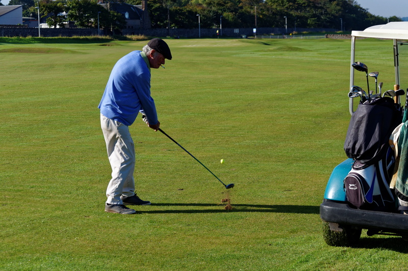 putting Green, casual clothing, golf, golfer, play, golf swing, plant, sky, game, hobbies, nature, one person, green - golf course, tee, 5K, golfing, recreational Pursuit