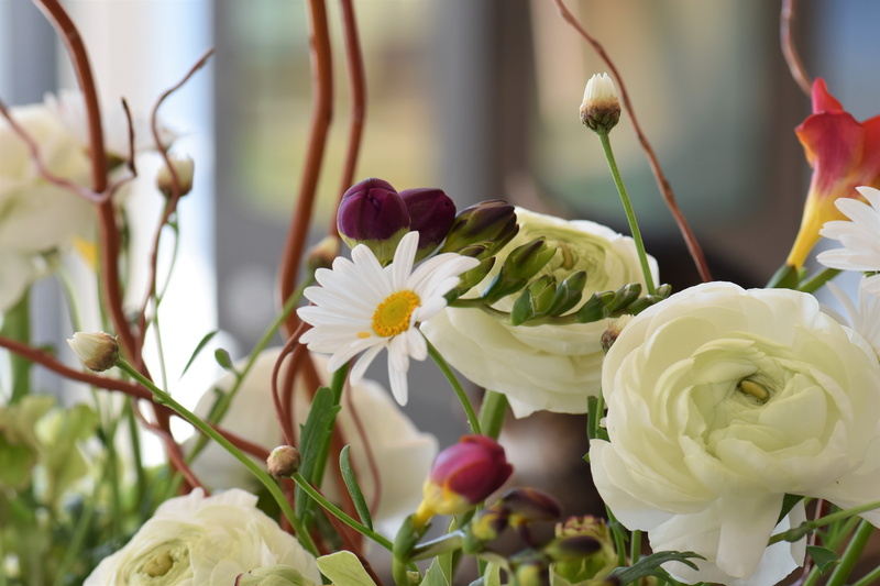 strauss, spring, wedding, flowering plant, no people, color, bloom, flower head, deco, nature, focus on foreground, plant, floral, white color, close-up