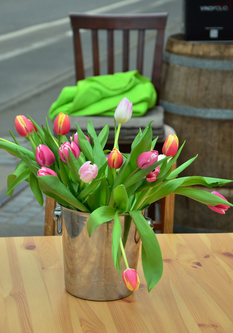 tulips, plant, wood - material, vulnerability, bouquet, flower arrangement, flowering plant, flower head, vase, springtime, seat, chair, flower, fragility