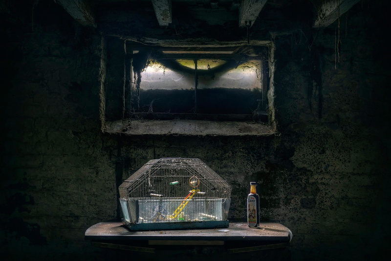 1080P, birdcage, rooms