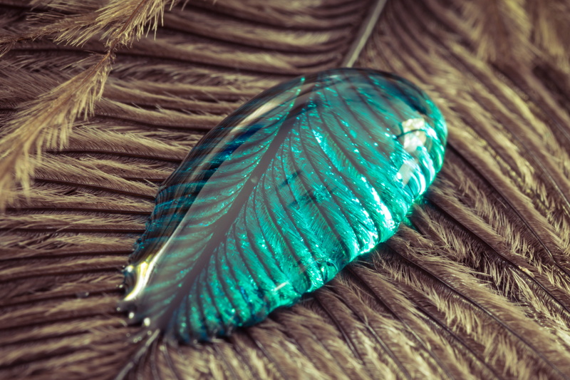 personal accessory, variation, 4K, indoors, bird feather, green color, still life, liquid, softness, close, textured, close-up, macro, selective focus
