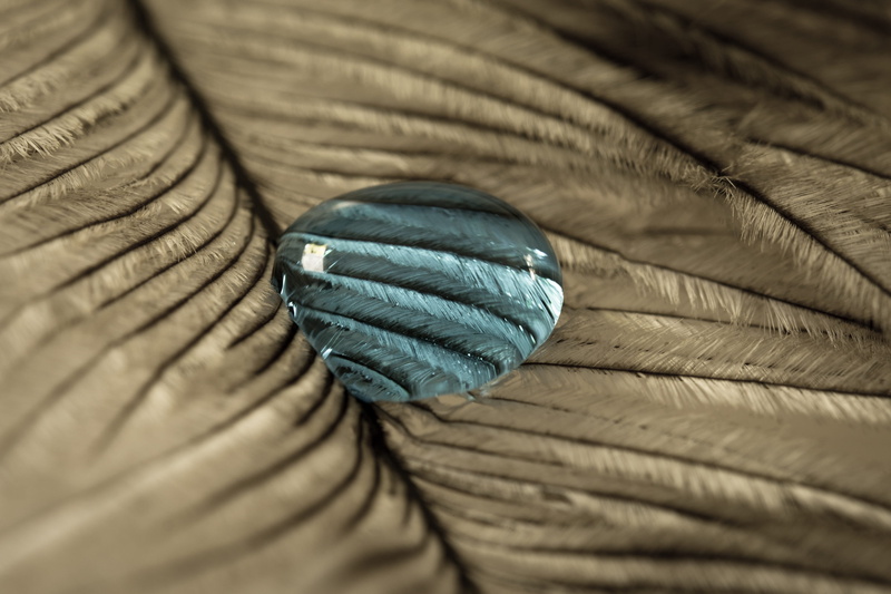 full frame, softness, rope, feather, textile, strauss spring, indoors, simplicity, turquoise colored, backgrounds, texture, selective focus, no people