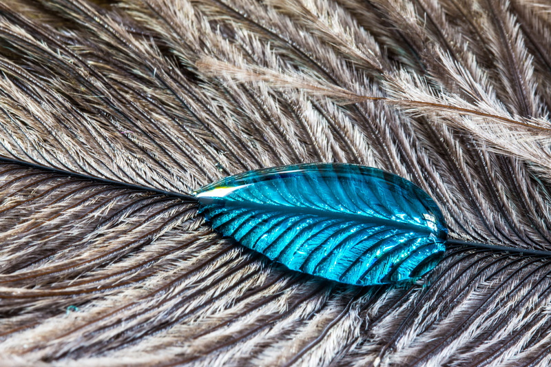 vulnerability, fragility, no people, rope, water, textured, 4K, textile, macro, blue, close, indoors, bird feather, softness, high angle view, full frame