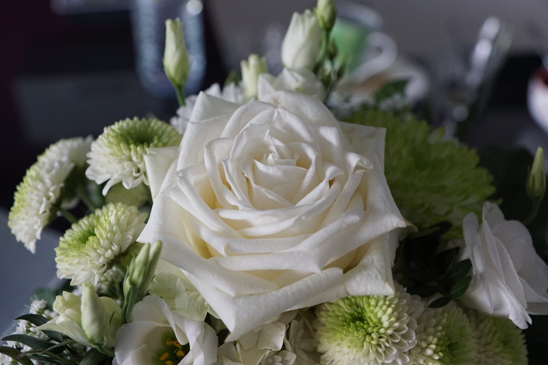 rose - flower, fragrance, perfume, spa, cosmetics, strauss, easter, close-up, flower arrangement, plant, vulnerability, flower head, birthday, inflorescence