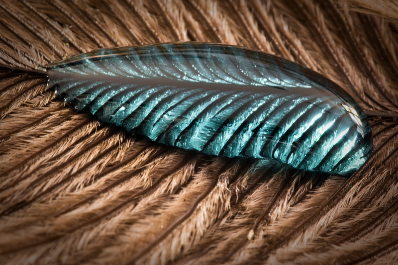 bird feather, textured, background, animal body part, feather, close, close-up, macro, blue, natural pattern, softness, strauss spring, 4K, animal, animal wildlife
