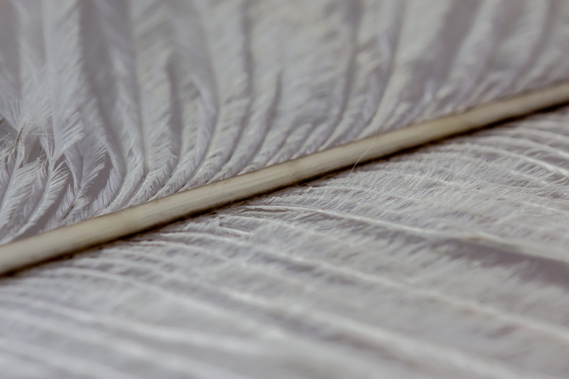 softness, craft, 4K, backgrounds, art and craft, studio shot, group of objects, no people, close, background, strauss spring, bed, macro, textile, creativity