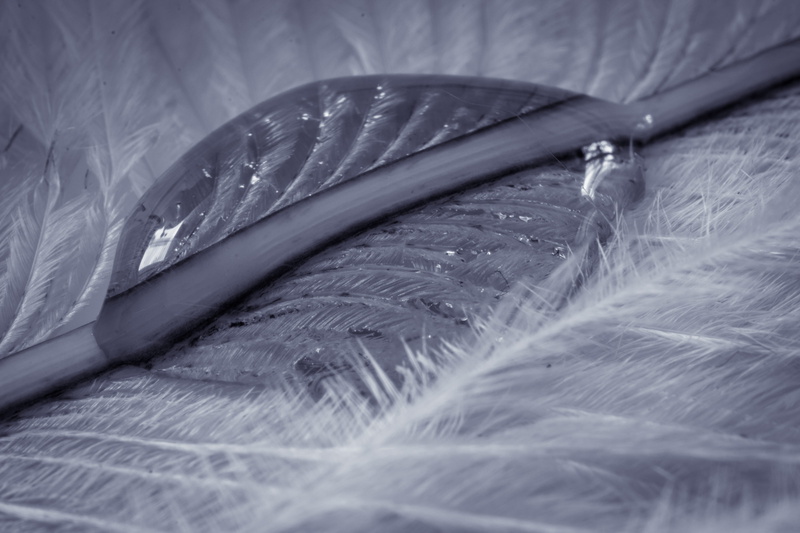water, polythene, vulnerability, hairstyle, texture, drop of water, backgrounds, no people, liquid, white color, strauss spring, close-up, background, fragility