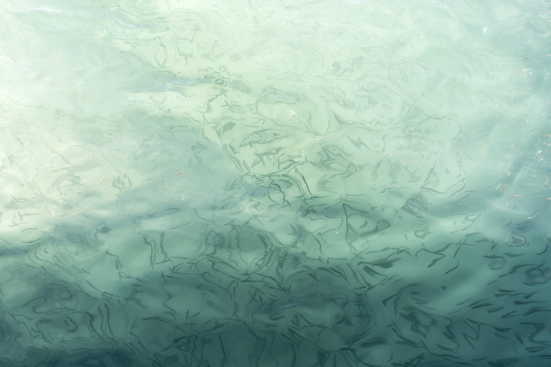 full frame, indoors, floral pattern, fish, backgrounds, white, no people, close-up, abstract, swimming pool, pool, nature, transparent, landscape, water