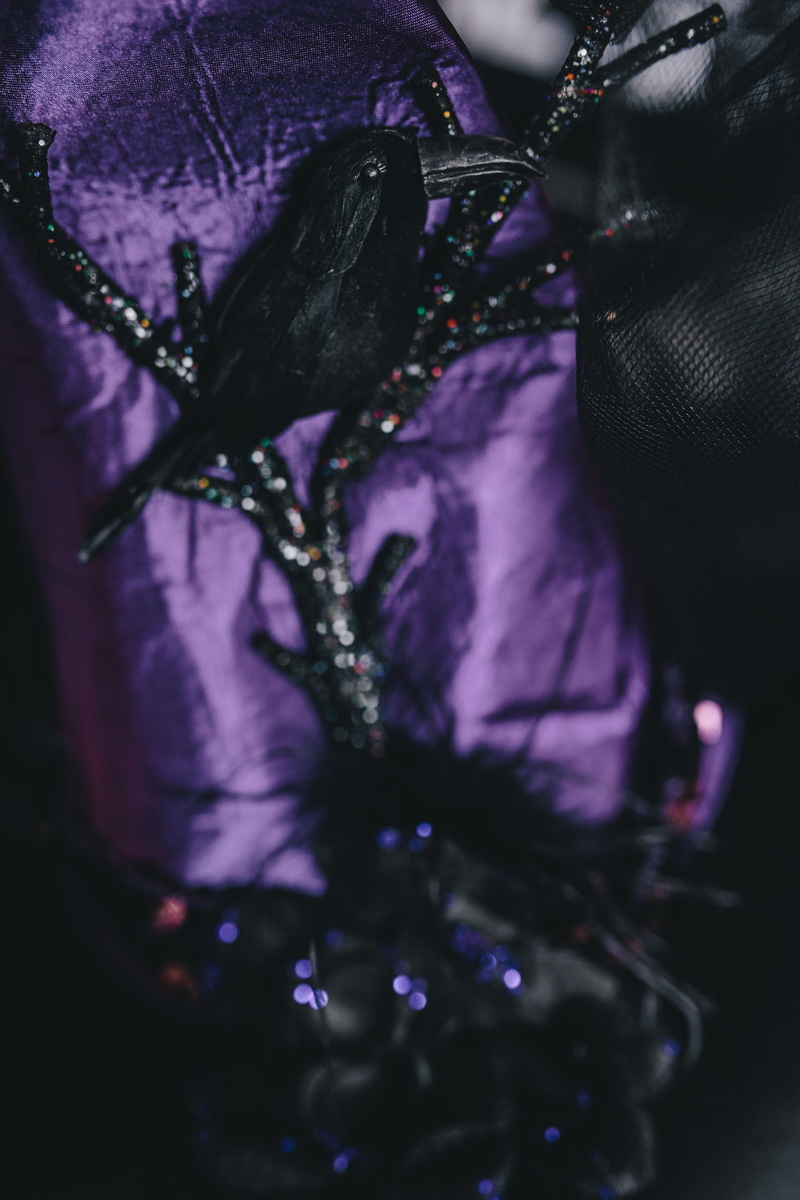 decorations, freshness, purple, growth, selective focus, flowering plant, adult, horror, women, plant, black Color, lifestyles, one woman only, 4K, close-up