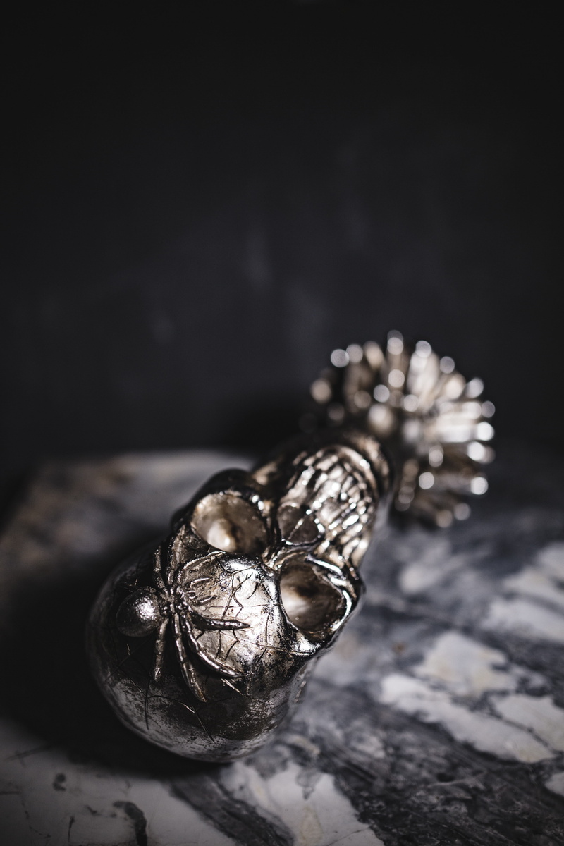 food and drink, food, animal, diamond - gemstone, selective focus, studio shot, focus on foreground, animal wildlife, decor, jewelry, close-up, scary, table