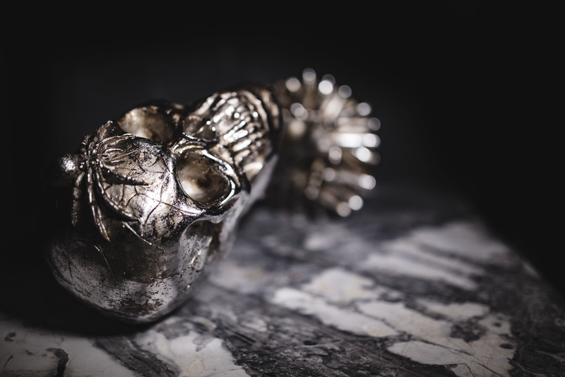 food, autumn, ring, metal, 5K, luxury, fall, skull, skulls, antique, nature, decorations, decor, wood - material, jewelry, still life, silver colored