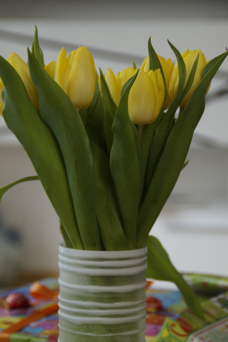 fragility, beauty in nature, strauss, inflorescence, close-up, plant, congratulations, flowers, yellow, flower vase, bloom, spring, schnittblume, vulnerability
