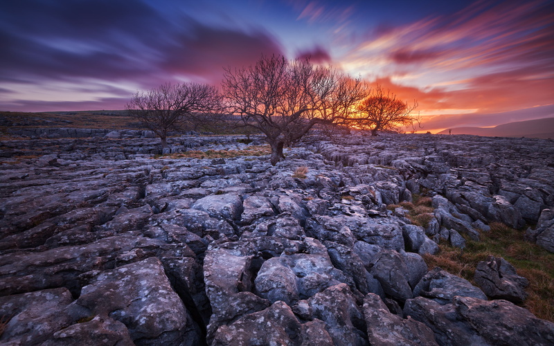 tranquility, environment, purple, plant, tree, longexposure, bare tree, scenics - nature, 4K, tranquil scene, nature, rock - object, cloud - sky, non-urban scene