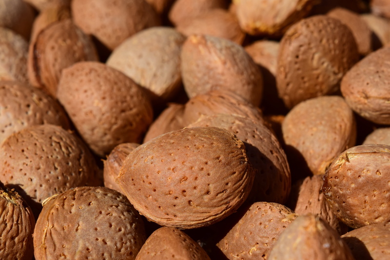 fresh almonds, indoors, shell, seed, delicious, quantitative, retail, full frame, food, groceries, bread, bakery, background, nut - food, backgrounds, wellbeing