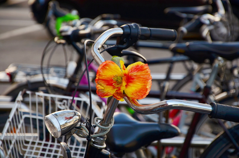 day, locomotion, orange, focus on foreground, wheel, cycling, no people, city life, metallic, turned off, handle, bike, basket, quantitative, city, blossom