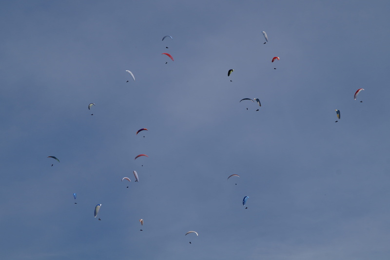 hobby, 5K, Parachute, motion, flying, bird, float, animal wildlife, quantitative, adventure, animals in the wild, thread, bavarian, mid-air, competition