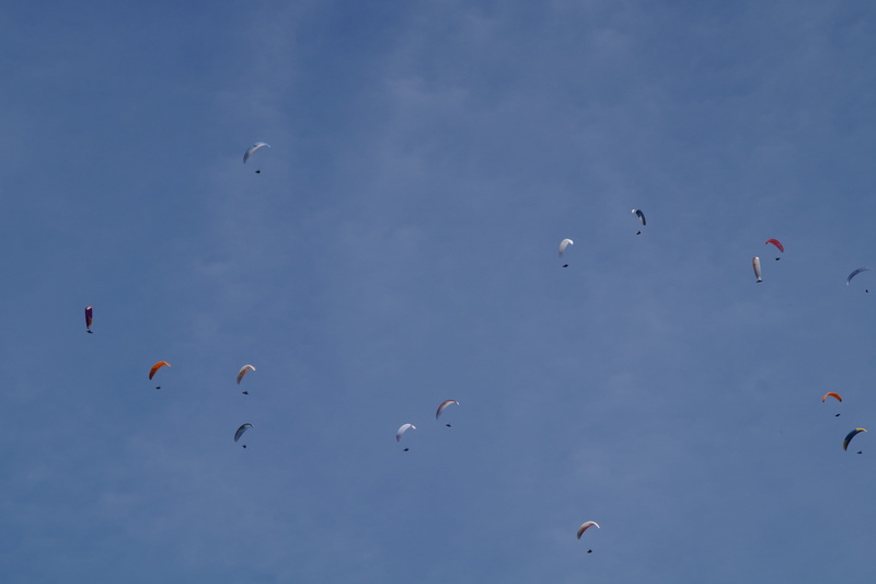 extreme sports, outdoors, bird, competition, group of people, winter, float, fly, mountain, freedom, swimming, thread, championship, low angle view, mass