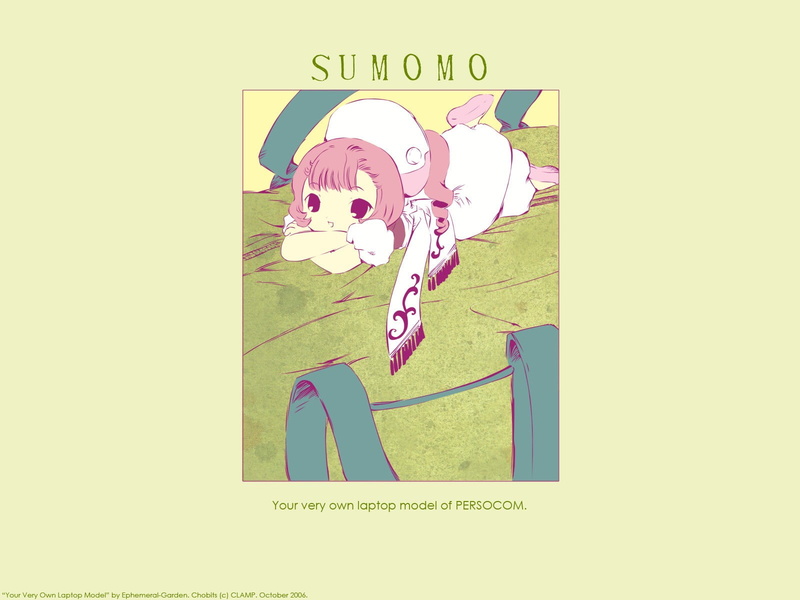 western script, transfer print, art and craft, Sumomo, text, animal, creativity, communication, mammal, domestic, anime girls, nature, wall, 720P, graffiti