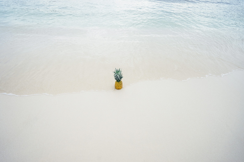 tide, snow, pineapple, seashore, summer, white color, beach, sand, tropical, near, summer backgrounds, clean, environment, flower, ocean, wave