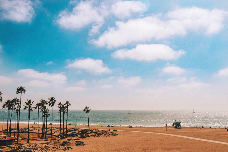 ocean, united states, nature, outdoors, palm trees, land, scenics - nature, 1080P, background, los angeles, boat, landscape, water, sea, tree