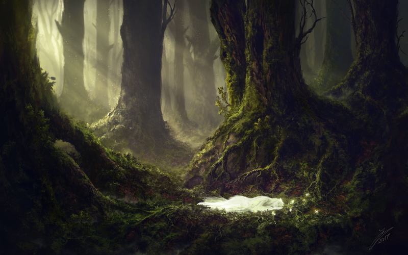Sleeping, Fairy, Fantasy, 1080P, Forest, Woman