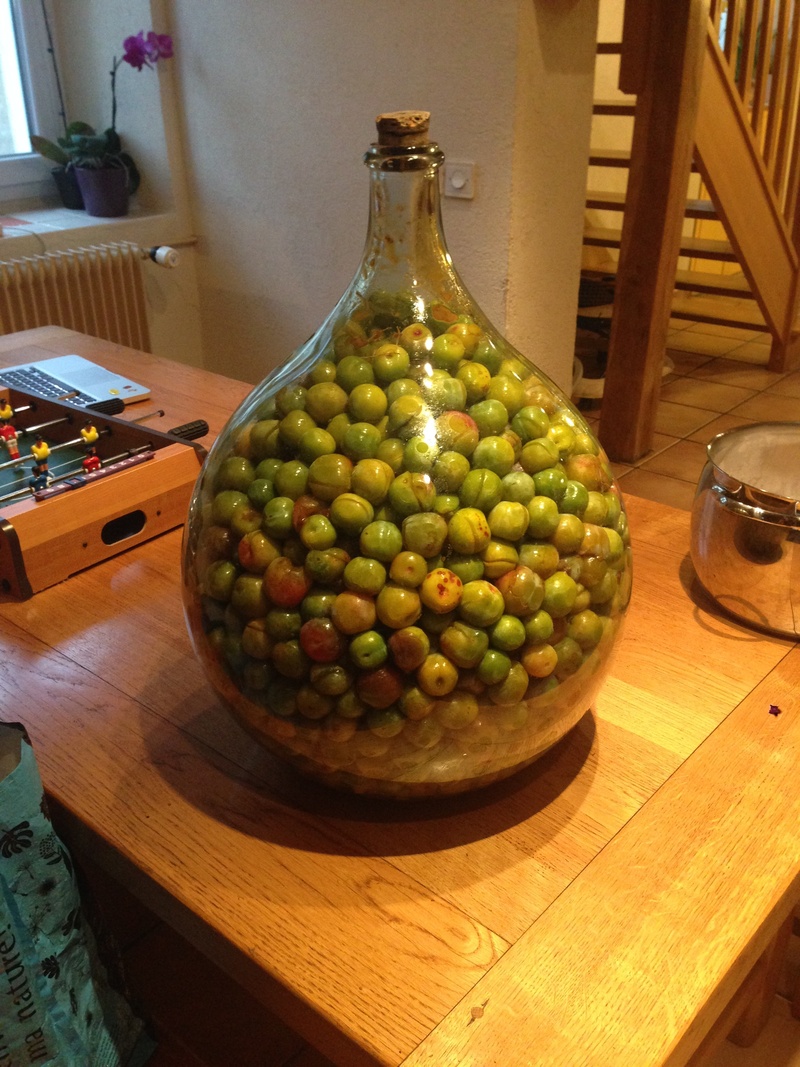 high angle view, amphora, green color, bowl, food and drink, indoors, wood - material, day, no people, wellbeing, freshness, close-up, healthy eating, fruit