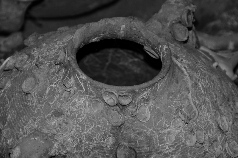 amphora, nature, art and craft, discovered, geometric shape, romans, recovered, day, complete, craft, storage, carving - craft product, plant, textured