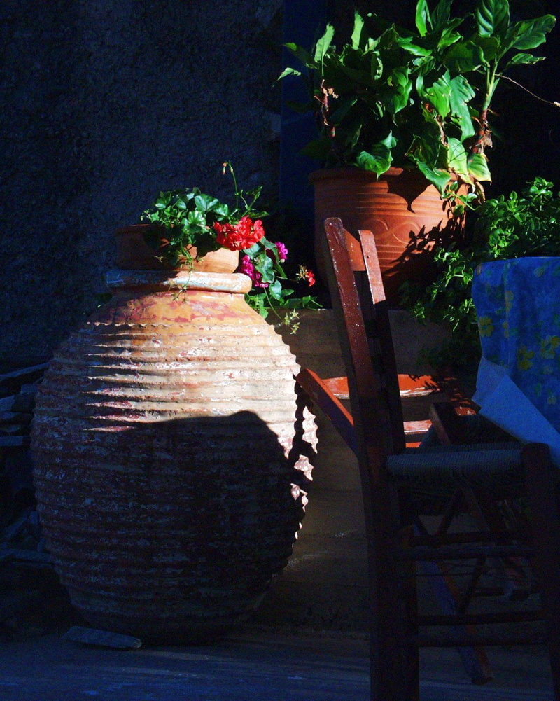 architecture, potty, flowers, built structure, flowering plant, lighting equipment, potted plant, flower, decoration, plant, 720P, arrangement, illuminated