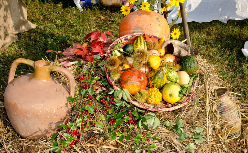 land, amphora, agriculture, eat, outdoors, fruit basket, cottages-vacation rentals, wellbeing, day, no people, colorful, nature, autumn, food, plant, freshness