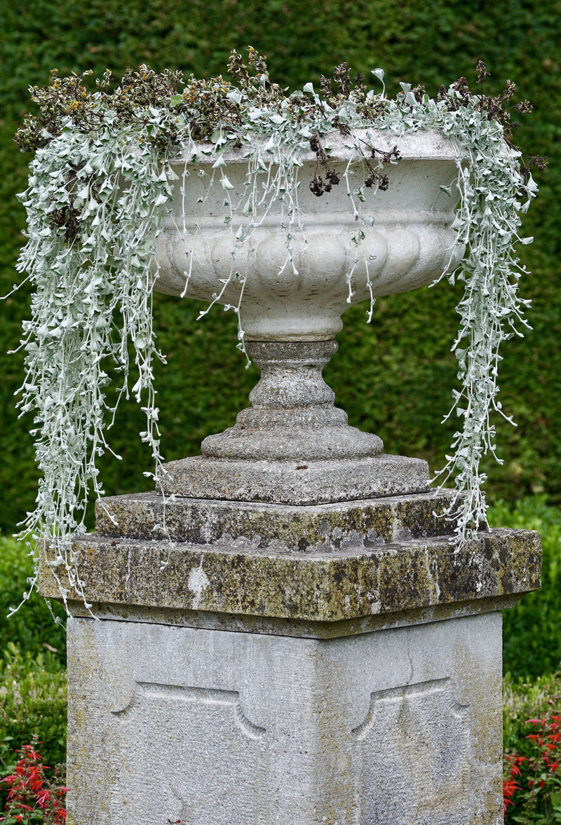 nature, 5K, pitcher - jug, container, architecture, decoration, tree, summer, stone material, green color, art and craft, italian, grass, plant, garden design
