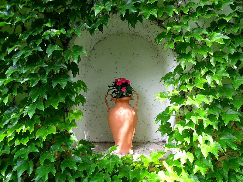 wall - building feature, red, flowering plant, representation, leaf, day, plant, Grape Leaves, female likeness, statue, architecture, sculpture, green leaves