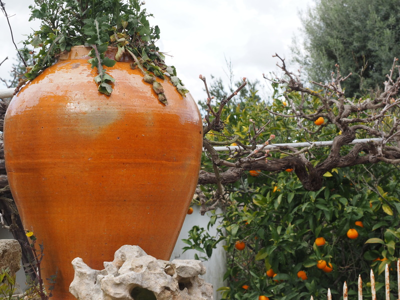 amphora, day, decoration, plant part, fruit, art and craft, orange color, growth, outdoors, plant, 4K, garden decoration, food, food and drink, pumpkin