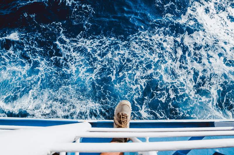 swimming pool, 4K, sea, day, animal, animal wildlife, text, one animal, no people, waterfront, animal themes, splashing, brown, nature, vertebrate, nautical vessel