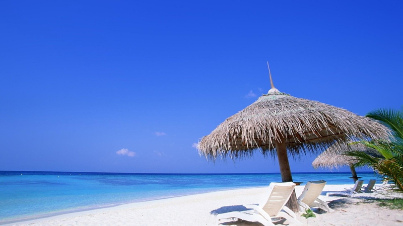 thatched roof, landscape, sunshade, white, scenics, tourist Resort, sunlight, vacations, relaxation, palm Tree, holiday, day, chaise lounge, travel Locations