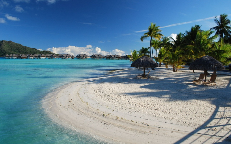 nature, travel Destinations, bora-bora, tropics, relaxation, palm trees, beach, rest, journey, seascape, tree, blue, resort, caribbean Sea, chaise lounges