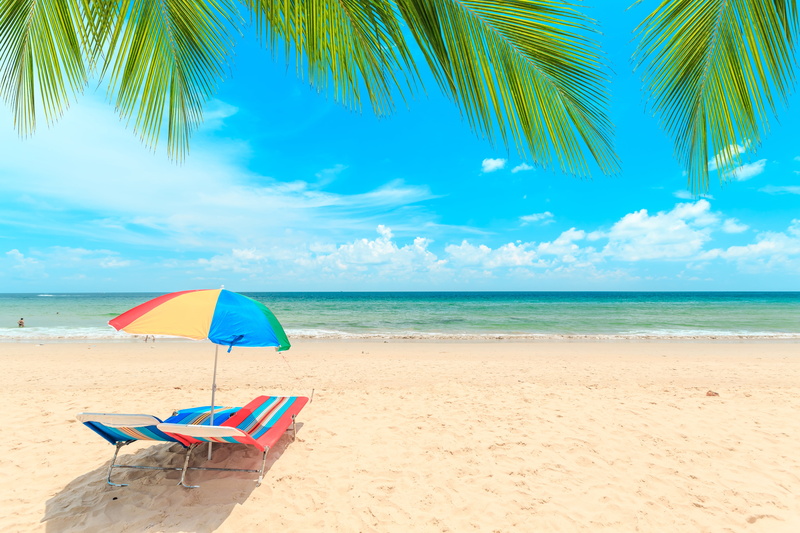 beach, tropical, shore, seascape, sea, sand, chaise, paradise, summer, palm trees, beautiful, 5K, wave, the sky, palms