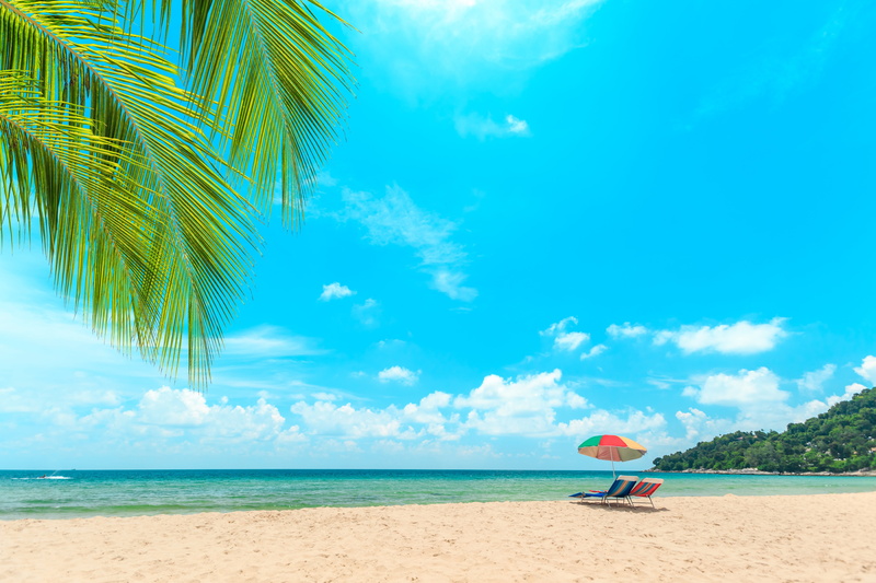 chaise, beautiful, summer, paradise, palms, palm trees, the sky, shore, seascape, wave, beach, tropical, sand, 5K, sea