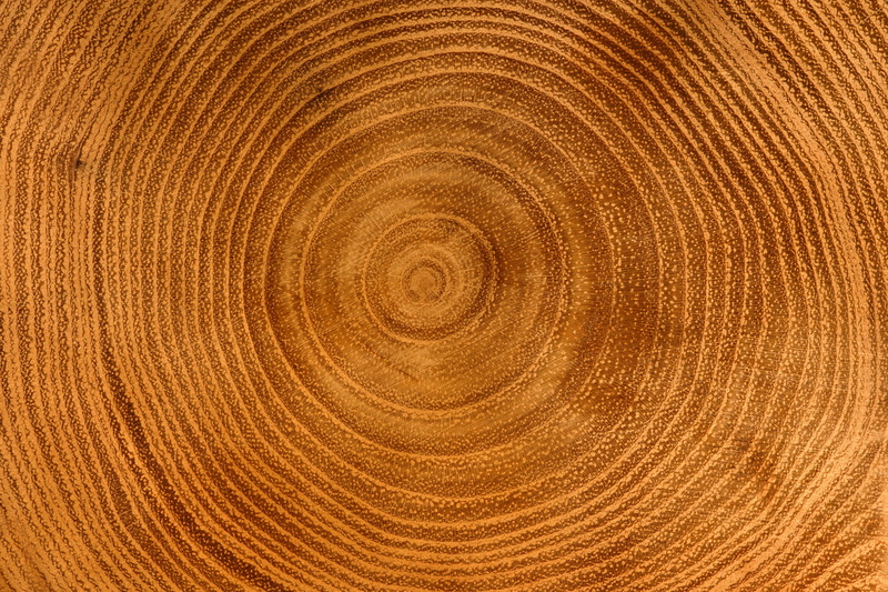 pattern, shape, geometric shape, tree ring, textured, wood - material, timber, saw, annual rings, grain, backgrounds, textured effect, tree, brown, wooden structure