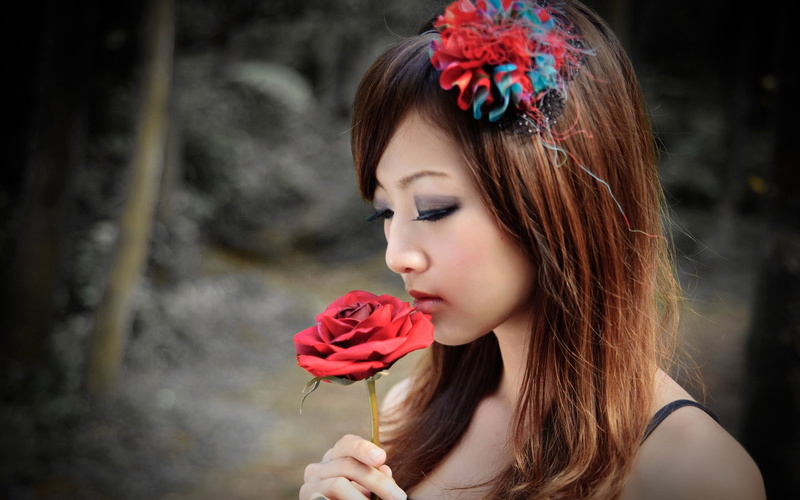 flower, outdoors, portrait, nature, holding, flowering plant, rose, close-up, one person, beauty in nature, rose - flower, flower head, hairstyle, Asian