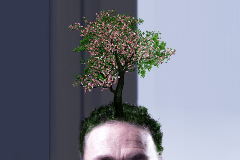 environmental protection, finger, outdoors, ecological balance, biology, nature, men, live, grow, pollution, close-up, nature conservation, day, bonsai tree
