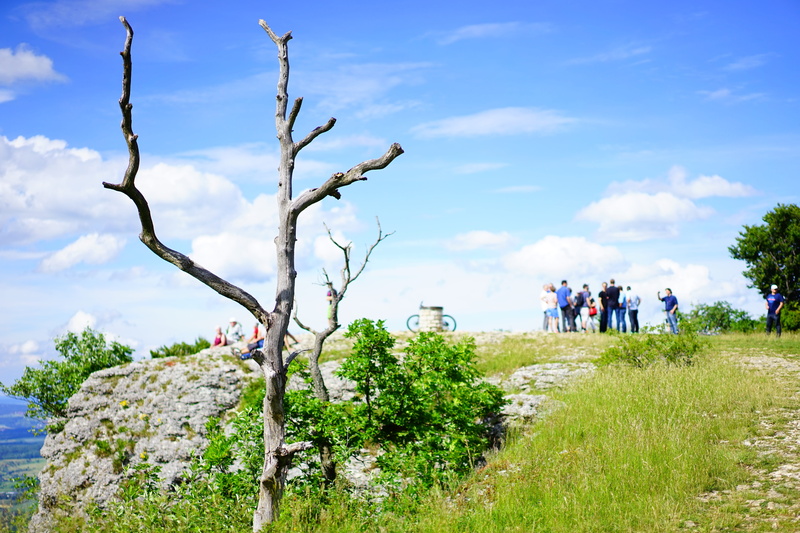 hiking, dead tree, kahl, environmental protection, women, breitenstein, dead plant, cliff, men, crowd, real people, plant, dead, more, migratory people