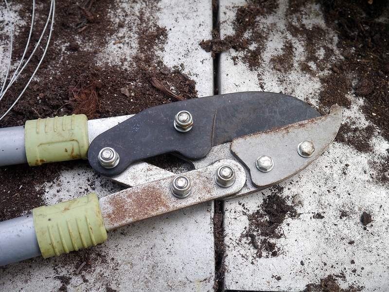 high angle view, rusty, group of objects, bolt, weathered, cut, cutting, pruning, tool, day, gardening, 2K, photo, trimming, clippers, sharp, closeup