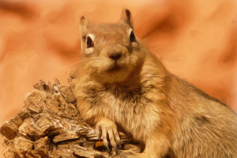 pets, artwork, creative, food, photo painting, oil painting, squirrel, painting, animal, animal themes, digital art, colored background, one animal, animals in the wild
