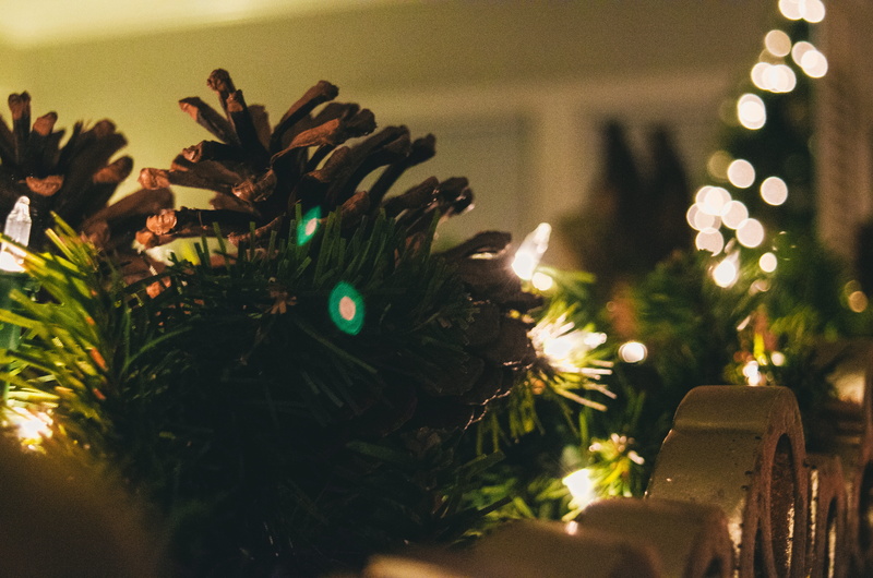 decorate, christmas lights, christmas tree, christmas decoration, decorated, holiday, celebration, 4K, christmas time, christmas decor, christmas decorations