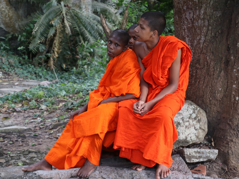travel, rest, the style of the country, adventure, females, three, men, togetherness, positive emotion, tree, full length, boys, look, sitting, males, sit