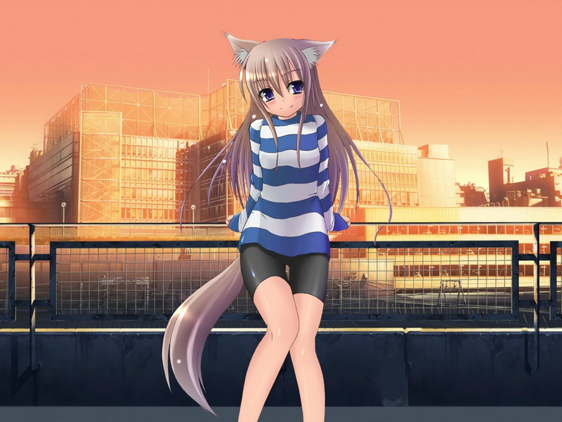 cat ears, purple eyes, smiling, long hair, anime girls, 720P, anime, tail