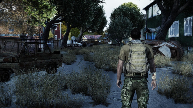 digital, DayZ, day, men, canal, one person, nature, game, tree, building exterior, mode of transportation, government, architecture, built structure