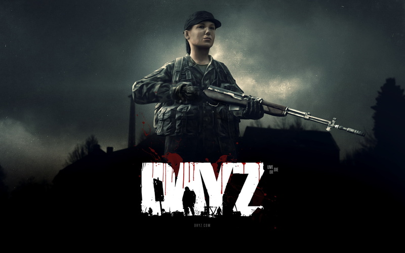 game, video games, dayz, rifle, day, video, cover, hd, z, 1080P
