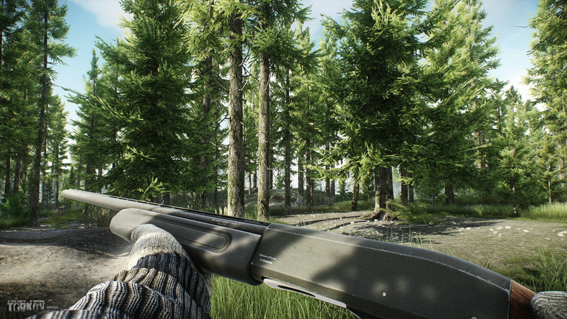 water, video games, non-urban scene, trunk, weapon, growth, forest, green color, tree, scenics - nature, tranquility, 1080P, tranquil scene, tree trunk