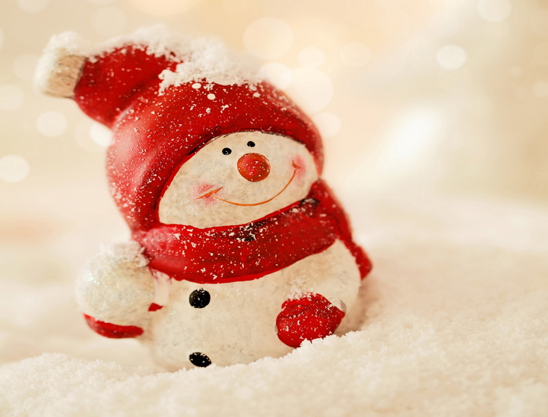 cold temperature, smiling, frost, cute, Christmas, Merry, decoration, december, holiday, gift, celebration, winter, greeting, close-up, season, christmas Ornament